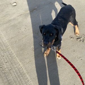 Meet your Posher, Lydia